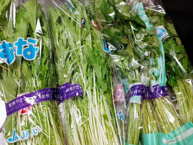 f:id:miharhumba:20200511135452j:image