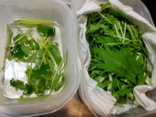 f:id:miharhumba:20200511135500j:image