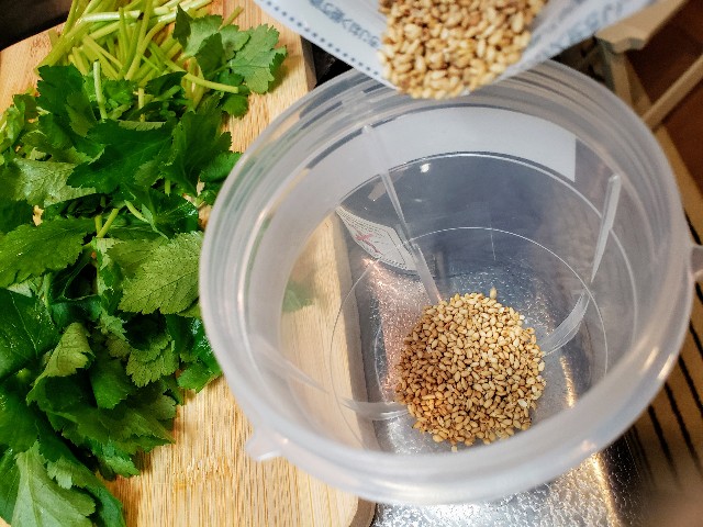 f:id:miharhumba:20200511135526j:image