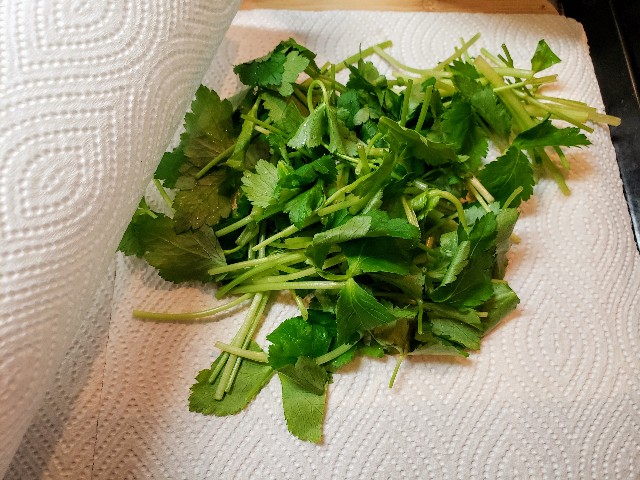 f:id:miharhumba:20200511140156j:image