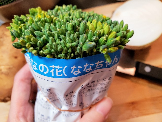 f:id:miharhumba:20200511140250j:image