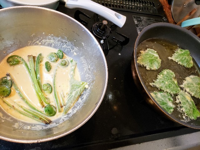 f:id:miharhumba:20200522120212j:image