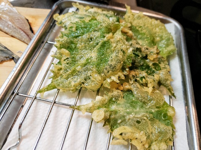 f:id:miharhumba:20200522120252j:image