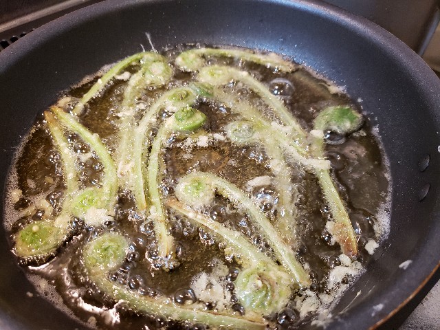 f:id:miharhumba:20200522120431j:image