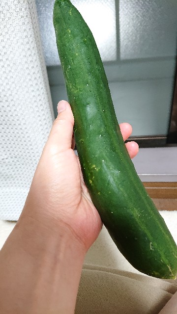 f:id:miharu21:20190724104630j:image f:id:miharu21:20190724104630j:image
