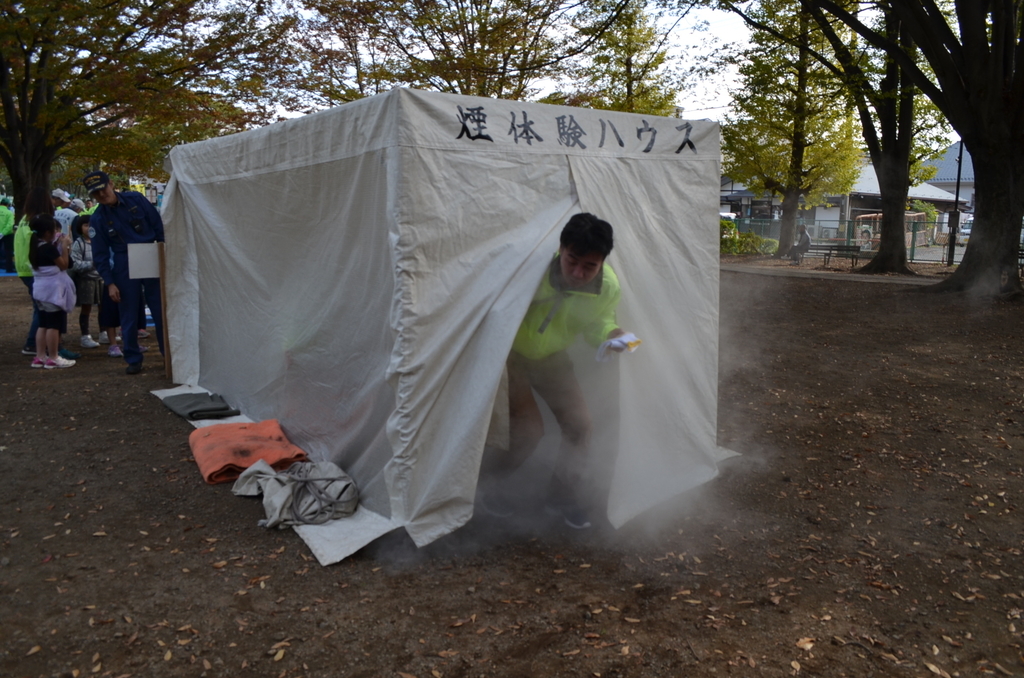f:id:mihashi-1:20181111132810j:plain