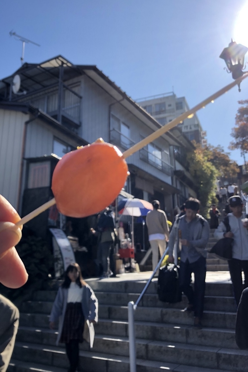 f:id:mihiroyukitaka:20191116234920j:plain