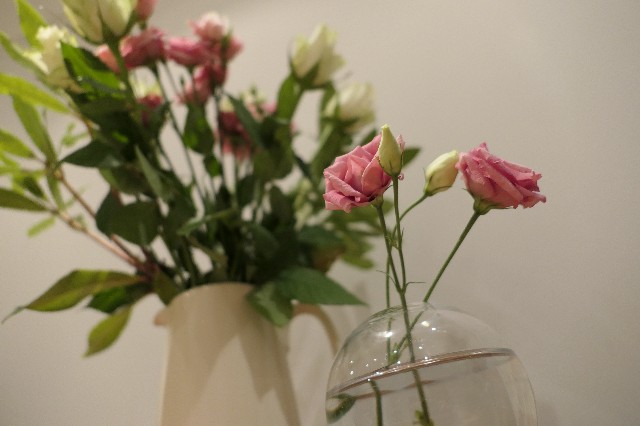 f:id:miho-lifestyle7:20200612054723j:image f:id:miho-lifestyle7:20200612054723j:image