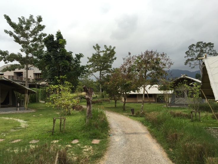 f:id:miho-rotchaat:20200907154424j:plain f:id:miho-rotchaat:20200907154424j:plain