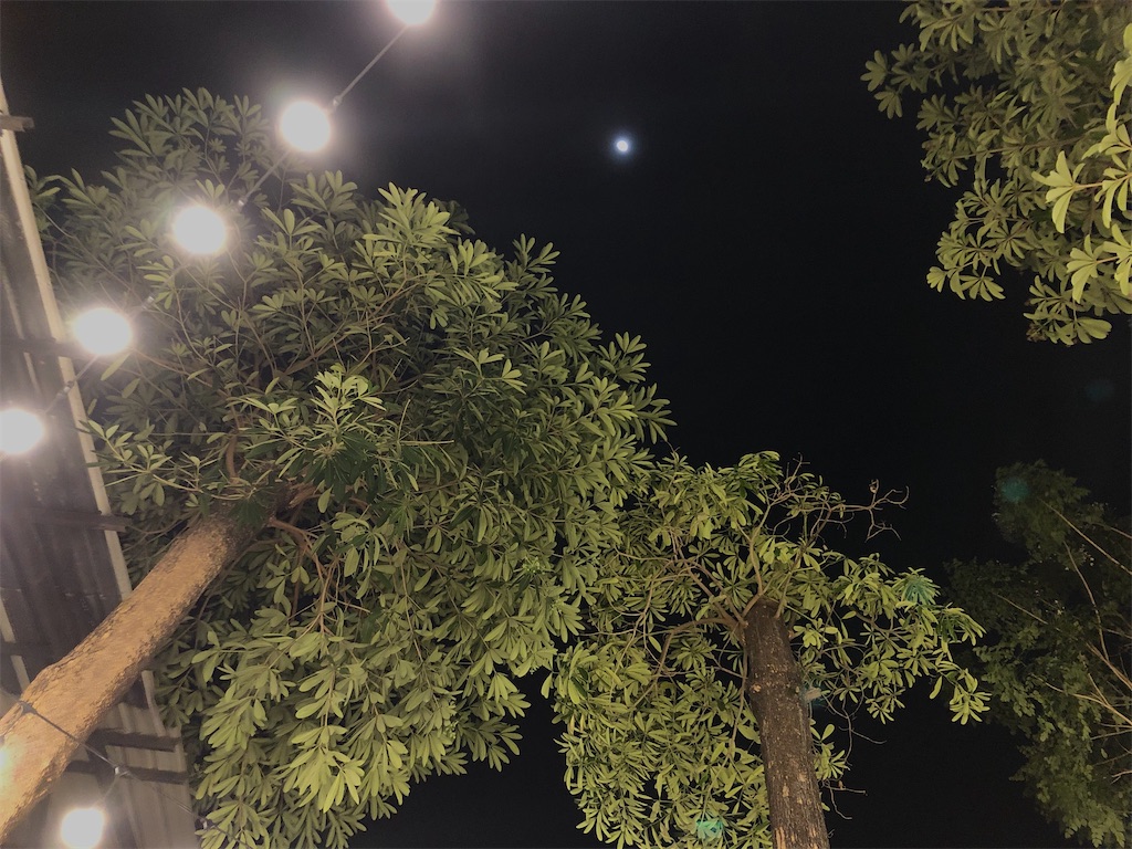 f:id:miho-rotchaat:20210106233903j:image f:id:miho-rotchaat:20210106233903j:image
