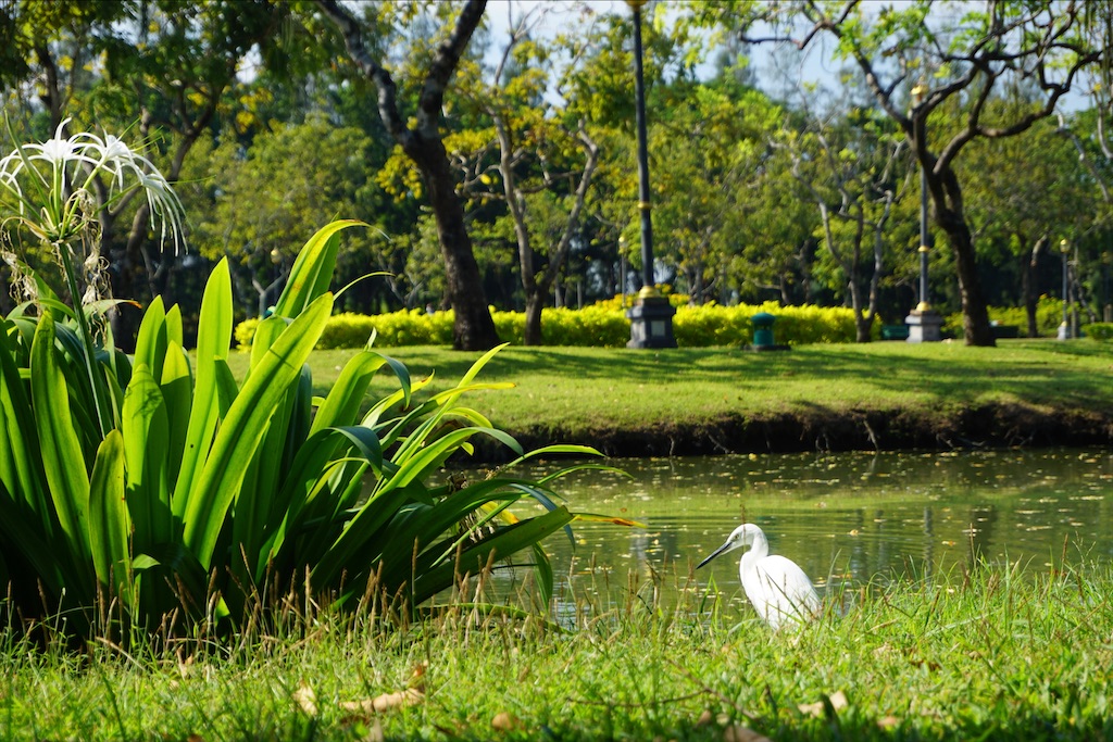 f:id:miho-rotchaat:20211209143758j:image