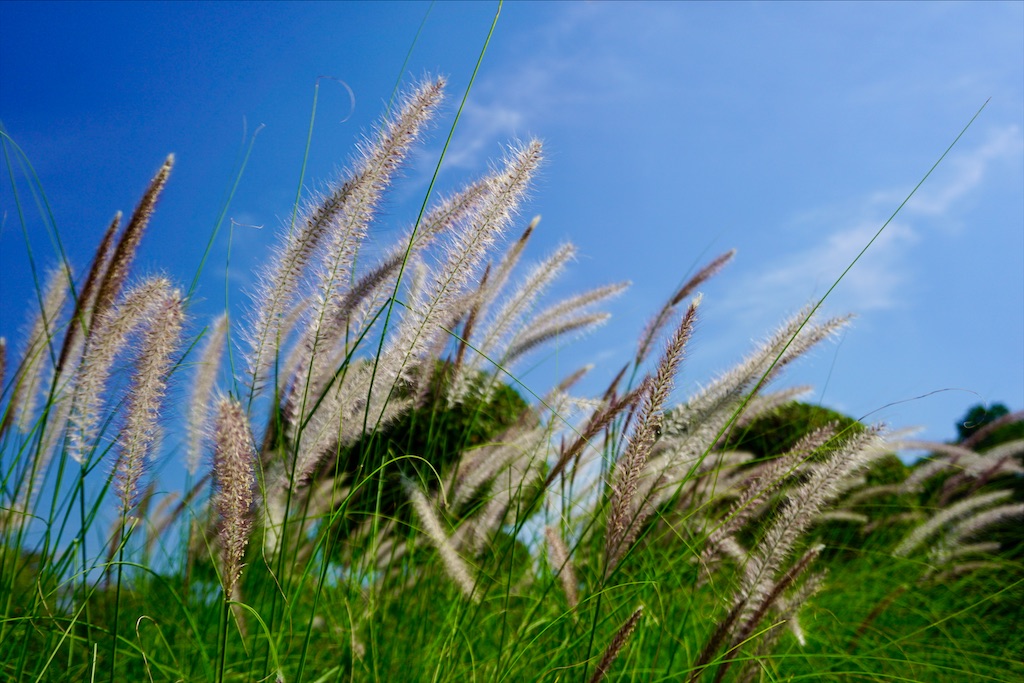 f:id:miho-rotchaat:20211209143802j:image