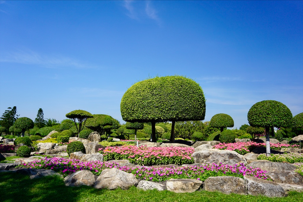 f:id:miho-rotchaat:20211209143806j:image