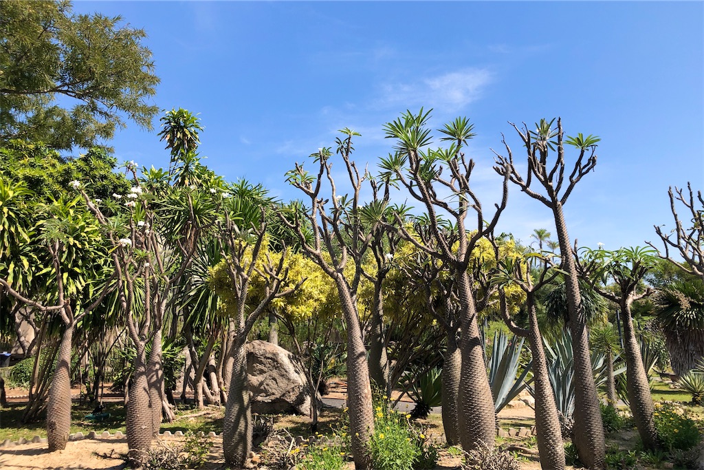 f:id:miho-rotchaat:20211209144404j:image