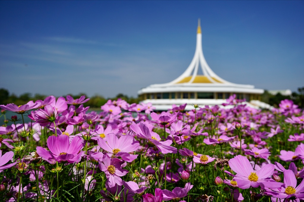 f:id:miho-rotchaat:20211209144408j:image