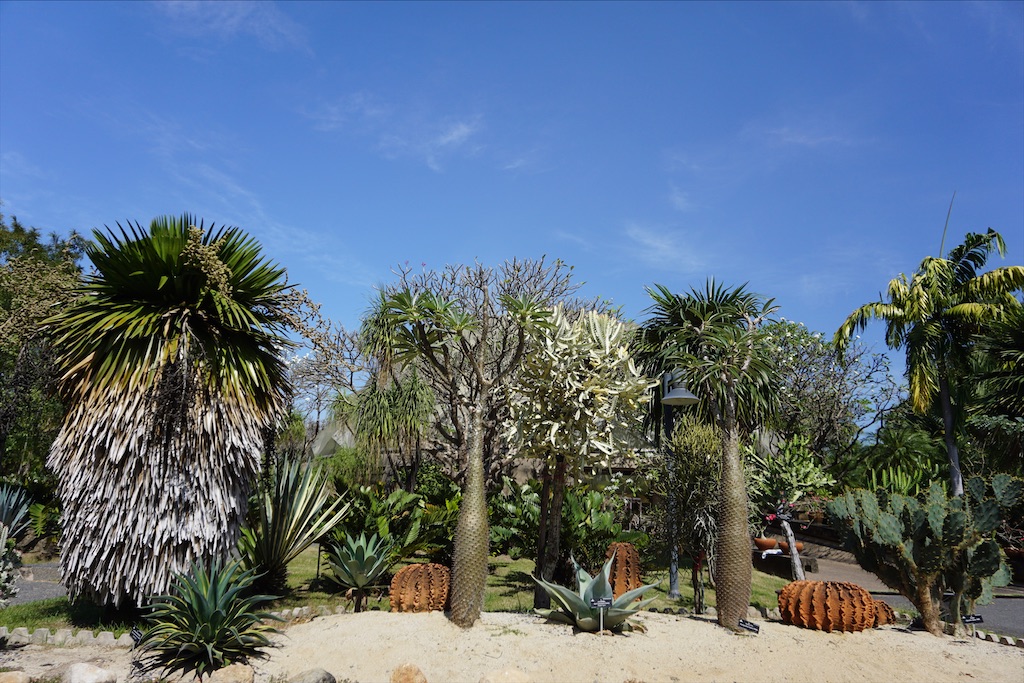 f:id:miho-rotchaat:20211209144420j:image