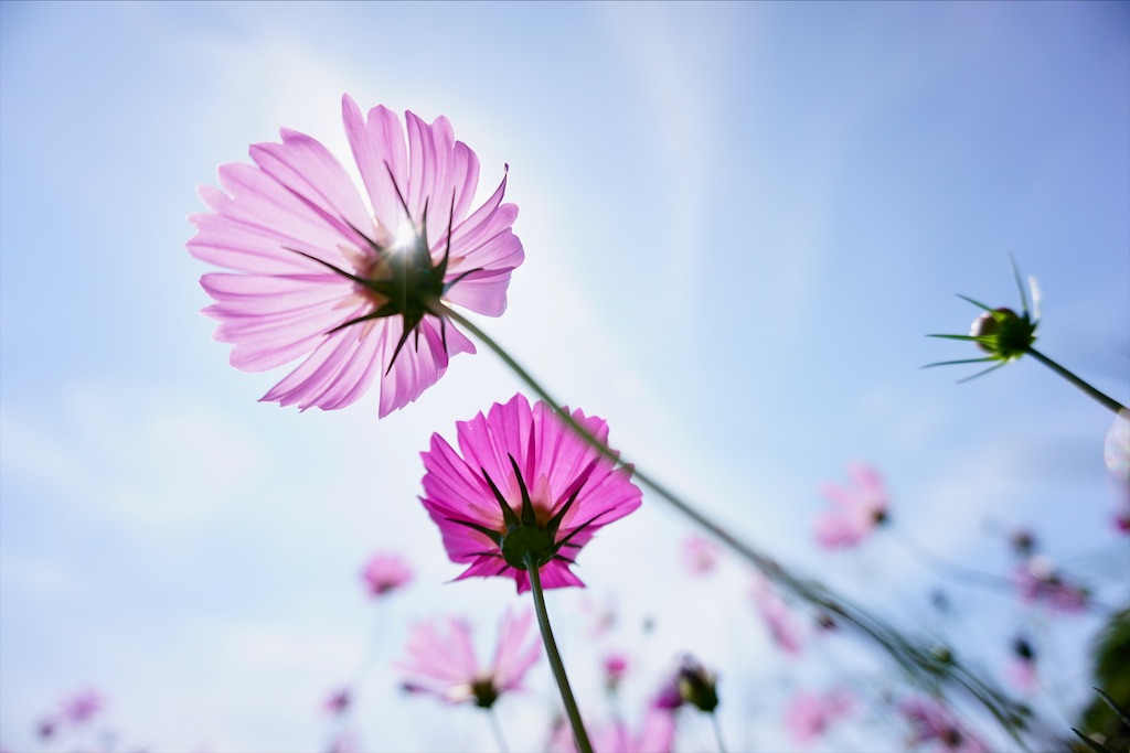 f:id:miho-rotchaat:20211209144524j:image