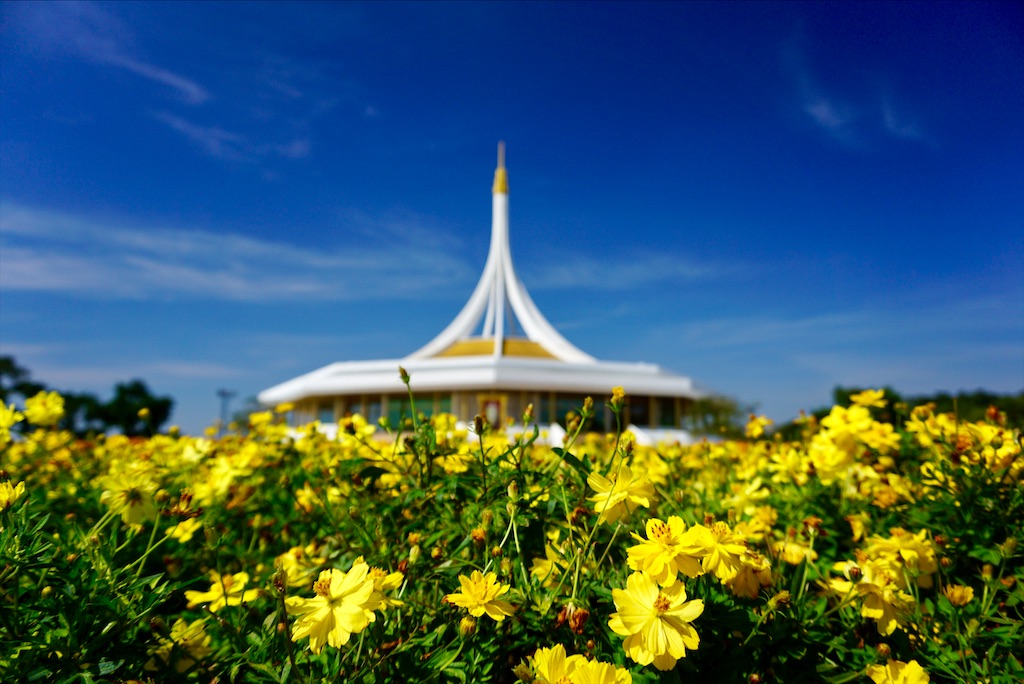 f:id:miho-rotchaat:20211209144533j:image