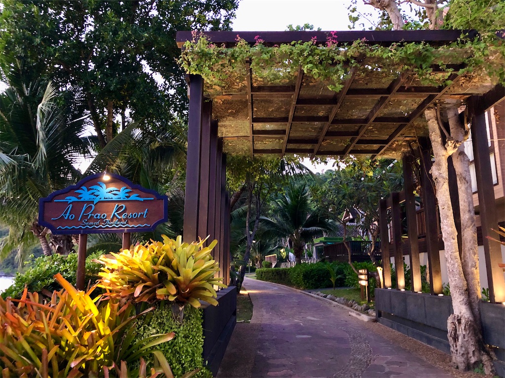 f:id:miho-rotchaat:20220418202721j:image f:id:miho-rotchaat:20220418202721j:image