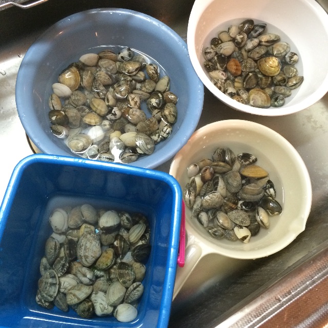 f:id:mihocomiho:20150712235741j:image f:id:mihocomiho:20150712235741j:image