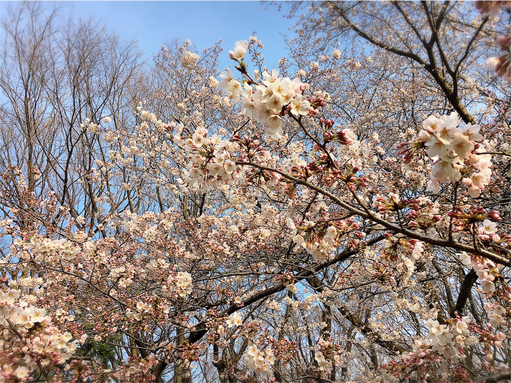 f:id:mihocomiho:20170402192719j:image f:id:mihocomiho:20170402192719j:image
