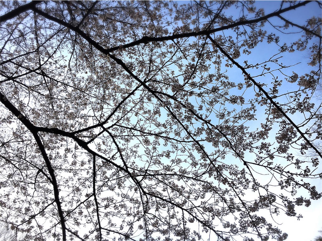 f:id:mihocomiho:20170402193201j:image f:id:mihocomiho:20170402193201j:image