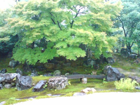 f:id:mihoi:20091101151836j:image f:id:mihoi:20091101151836j:image