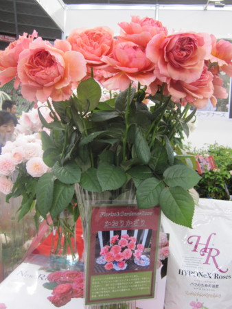 f:id:mihoi:20120512125420j:image