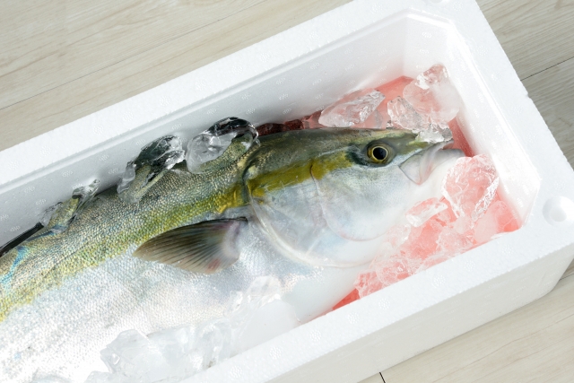 魚の名前 あれこれ Mihoko Gin Blog