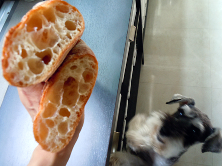 Diary1207152 Diary1207152