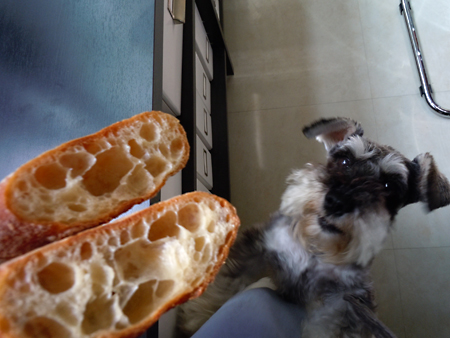 Diary1207153 Diary1207153