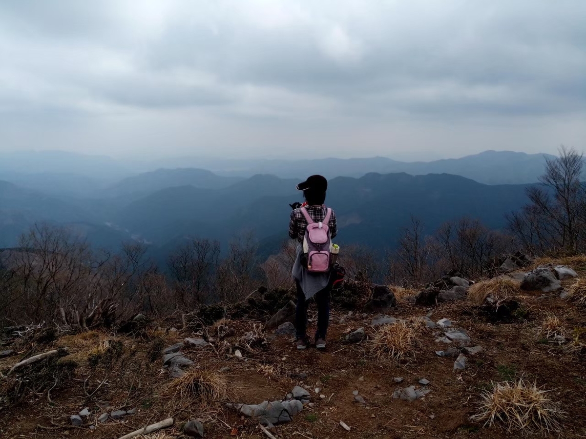 f:id:mihole:20210421145533j:plain
