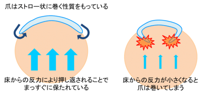 f:id:mihomoriyama:20200422150642p:plain f:id:mihomoriyama:20200422150642p:plain