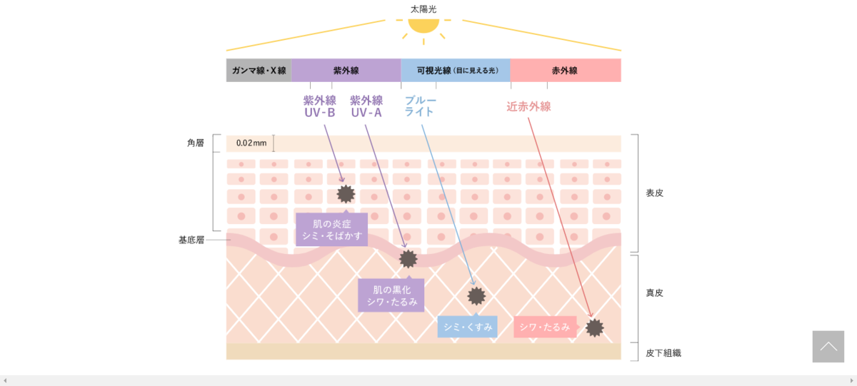 f:id:mihomoriyama:20200828152909p:plain f:id:mihomoriyama:20200828152909p:plain