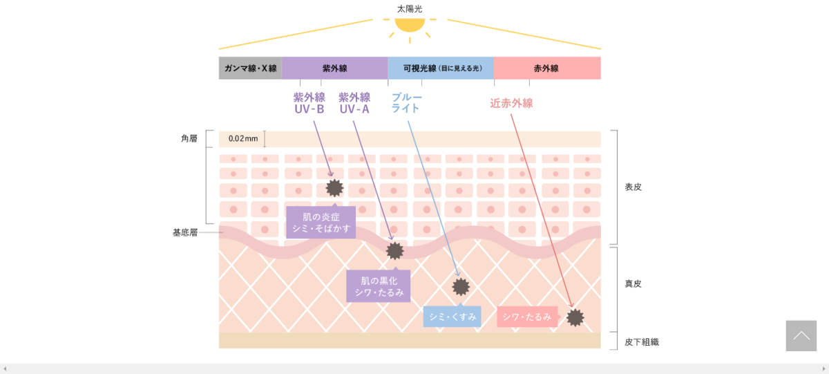 f:id:mihomoriyama:20200828152909p:plain