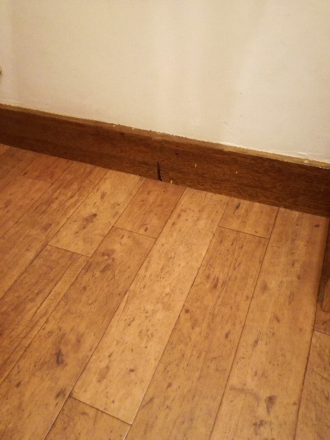 f:id:mihoon:20201008120856j:plain