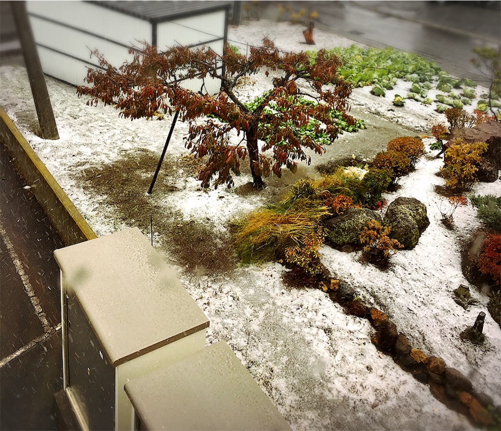 f:id:mihoraqssharqi:20171023135504j:image