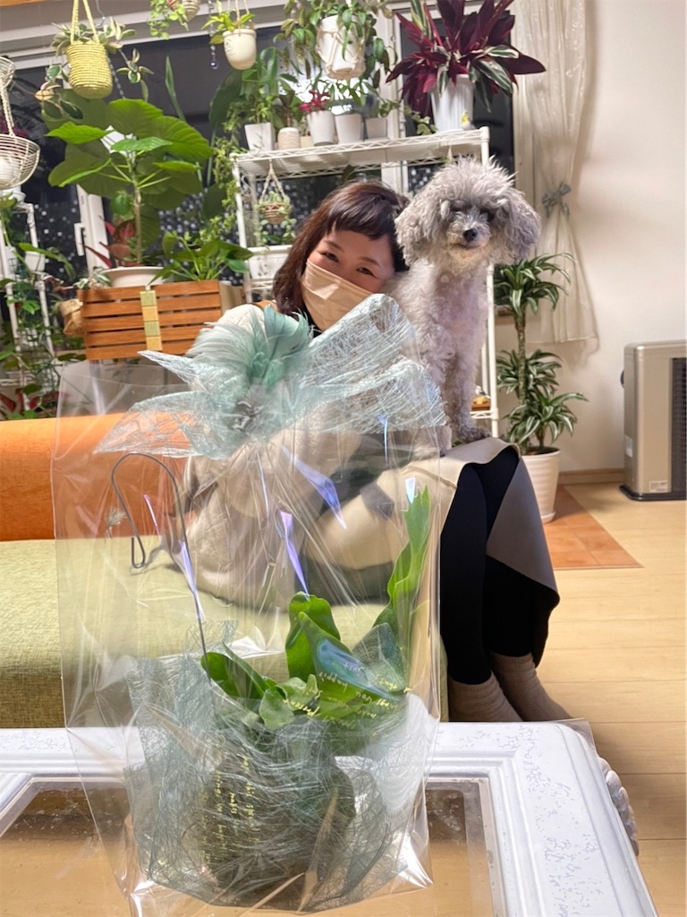 f:id:mihoraqssharqi:20211115215224j:image