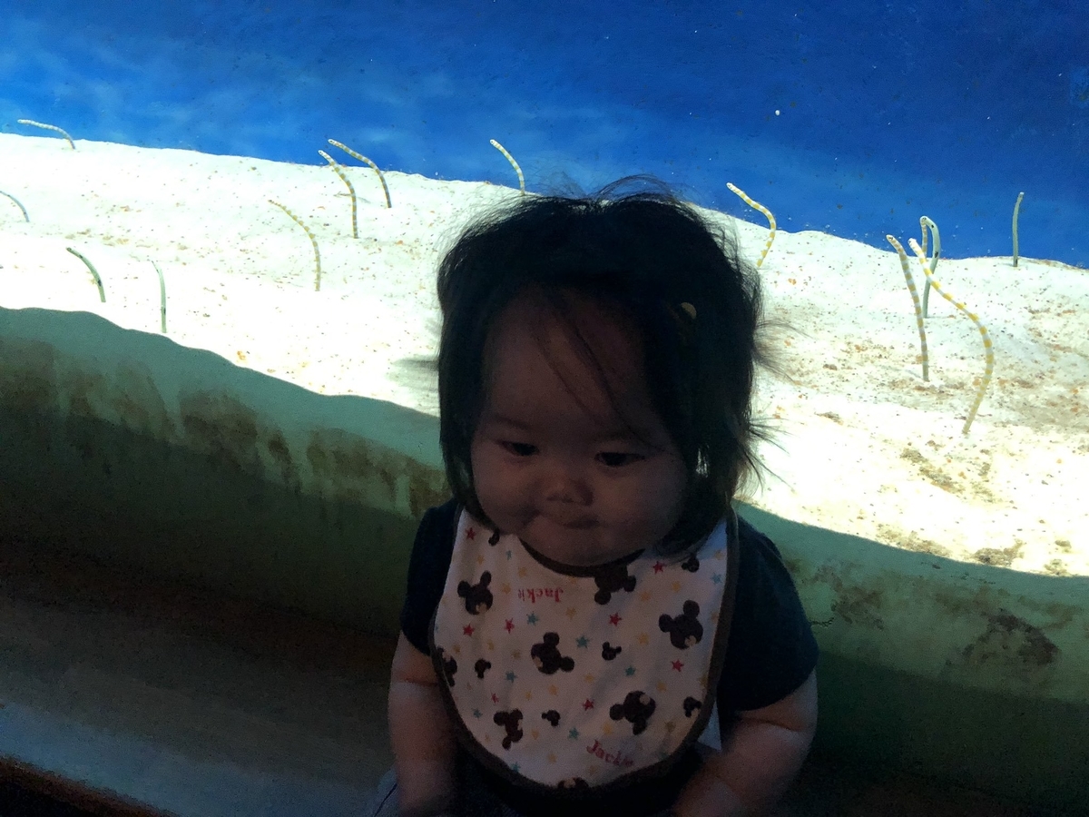 f:id:mii1208:20190925165624j:plain f:id:mii1208:20190925165624j:plain