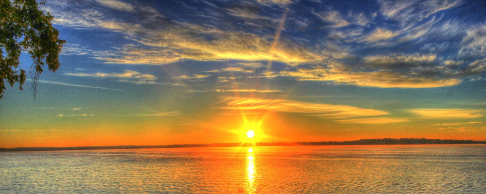 f:id:mii_chiro:20190321003003p:plain f:id:mii_chiro:20190321003003p:plain