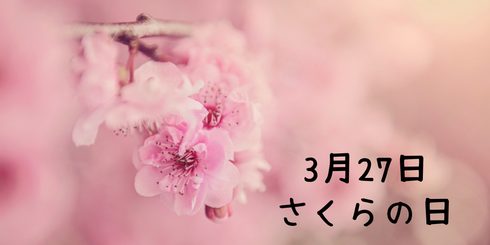 f:id:mii_chiro:20190326233010p:plain f:id:mii_chiro:20190326233010p:plain
