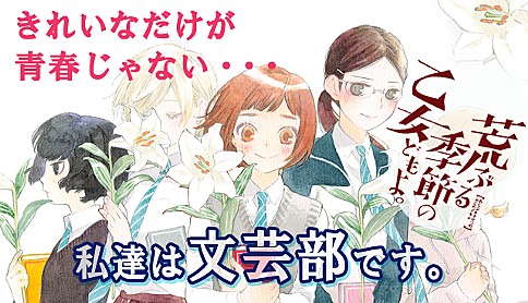 f:id:miicat:20190709234112j:plain f:id:miicat:20190709234112j:plain