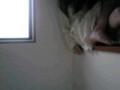 20090603151801