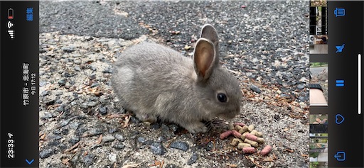 f:id:miida599:20210614053802j:plain