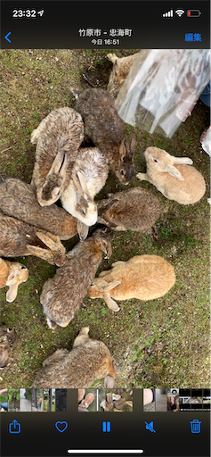 f:id:miida599:20210615203910p:plain