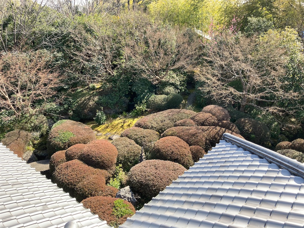 f:id:miiikablog:20210223194458j:image