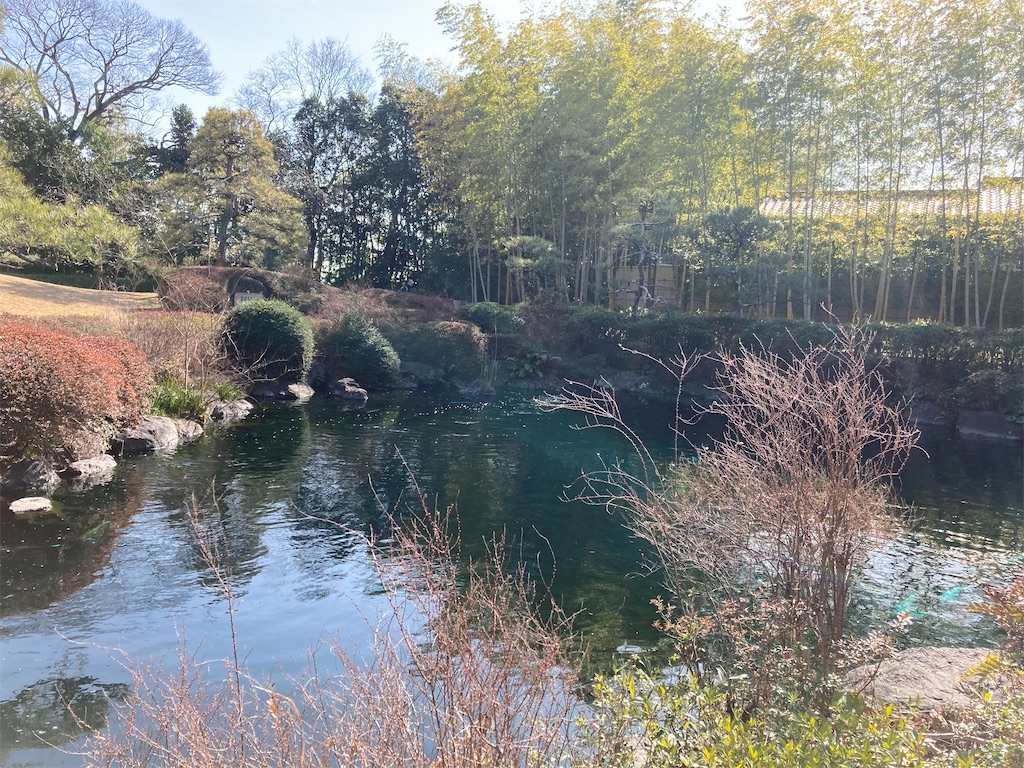 f:id:miiikablog:20210223194715j:image