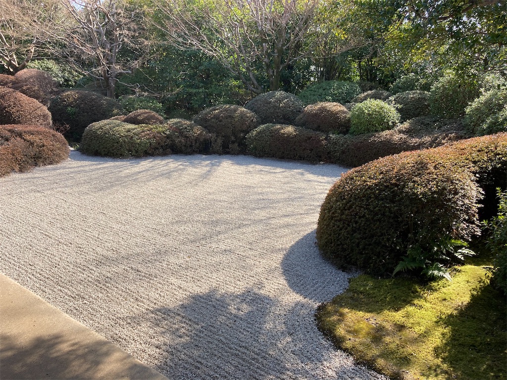 f:id:miiikablog:20210223194720j:image