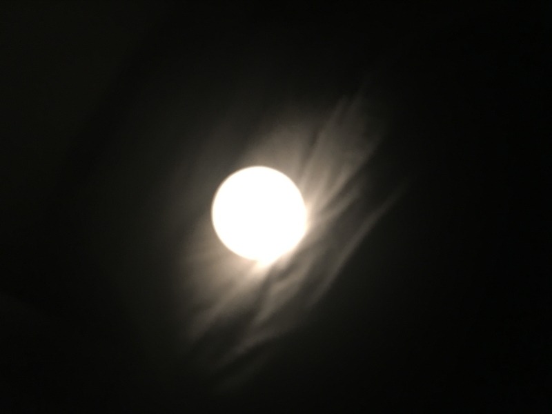 f:id:miiiko0o:20190217163210j:plain f:id:miiiko0o:20190217163210j:plain