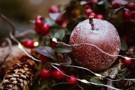 ドイツのクリスマス は26日まで 誰と過ごす 何をする なんで In ドイツ